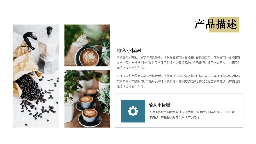 产品介绍项目融资模板