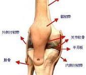 膝关节半月板损伤